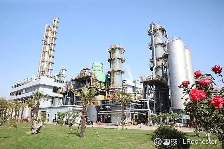 扬农化工商业模式研究 化工行业投资备忘录